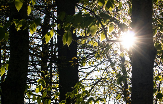 Feature Image
